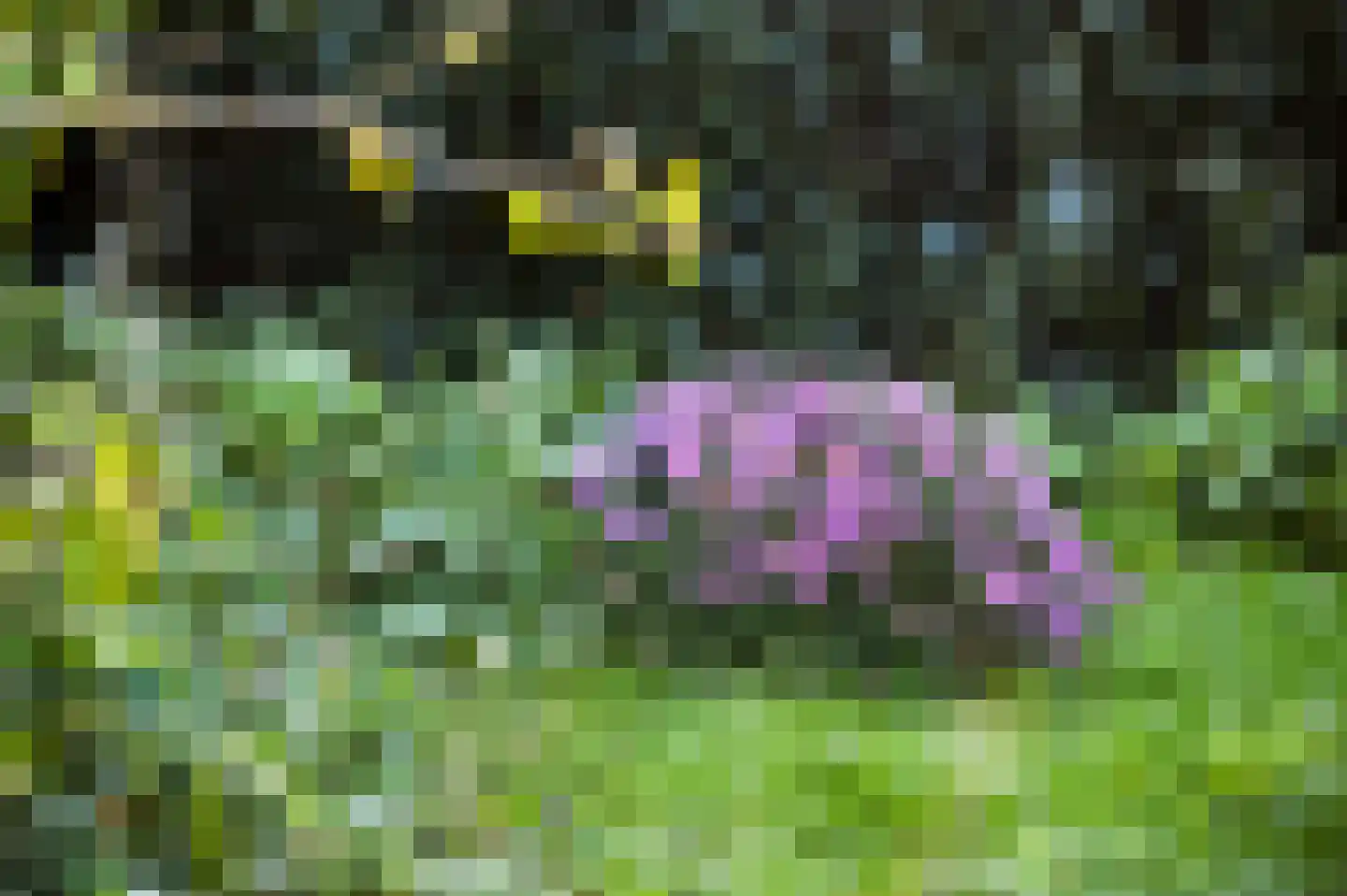 Schaapsweg 8 Ede thumbnail 40