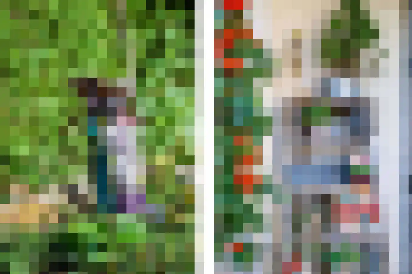Schaapsweg 8 Ede thumbnail 41