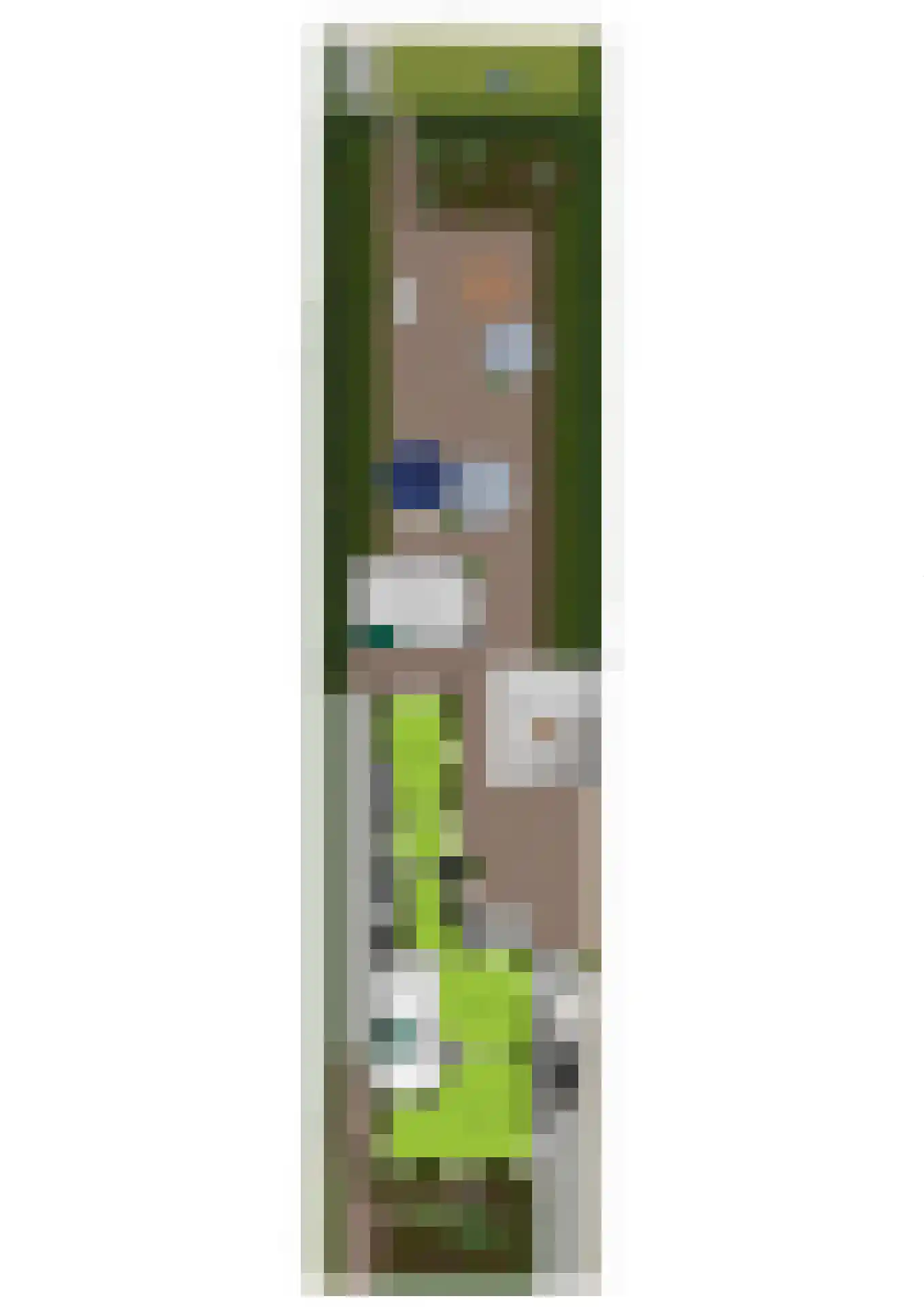 Schaapsweg 8 Ede thumbnail 62