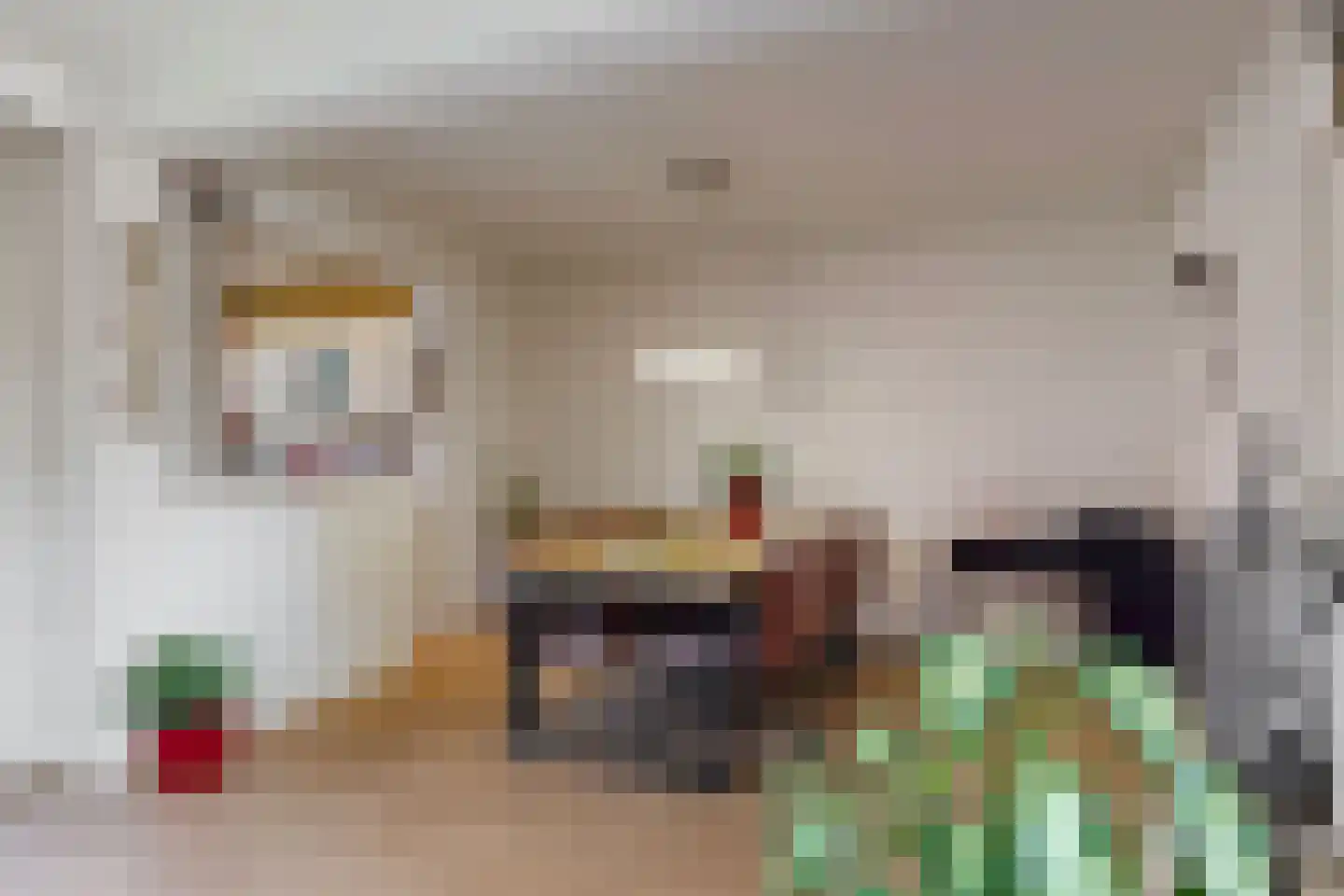 Schaapsweg 9 Sint Odiliënberg thumbnail 14