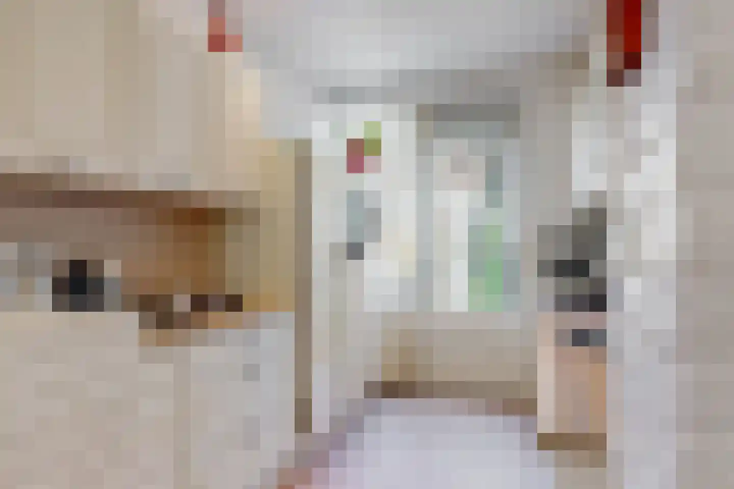 Schaapsweg 9 Sint Odiliënberg thumbnail 19