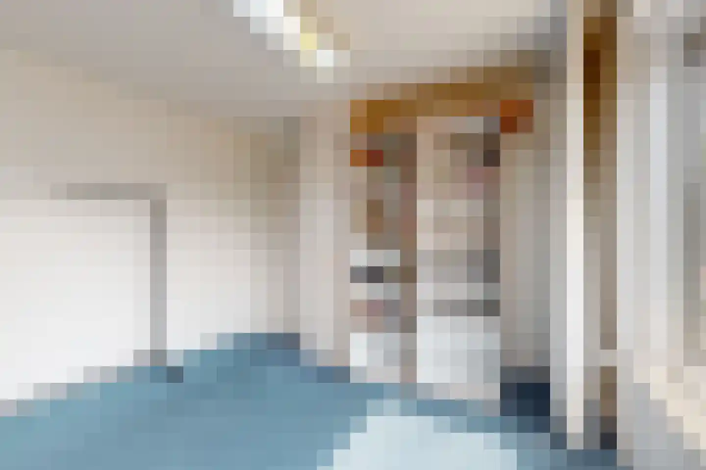 Schaapsweg 9 Sint Odiliënberg thumbnail 27