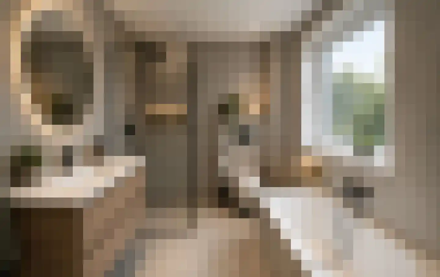 Schaapsweg 9 Sint Odiliënberg thumbnail 35