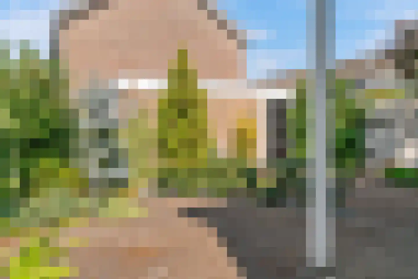 Schaapsweg 9 Sint Odiliënberg thumbnail 7