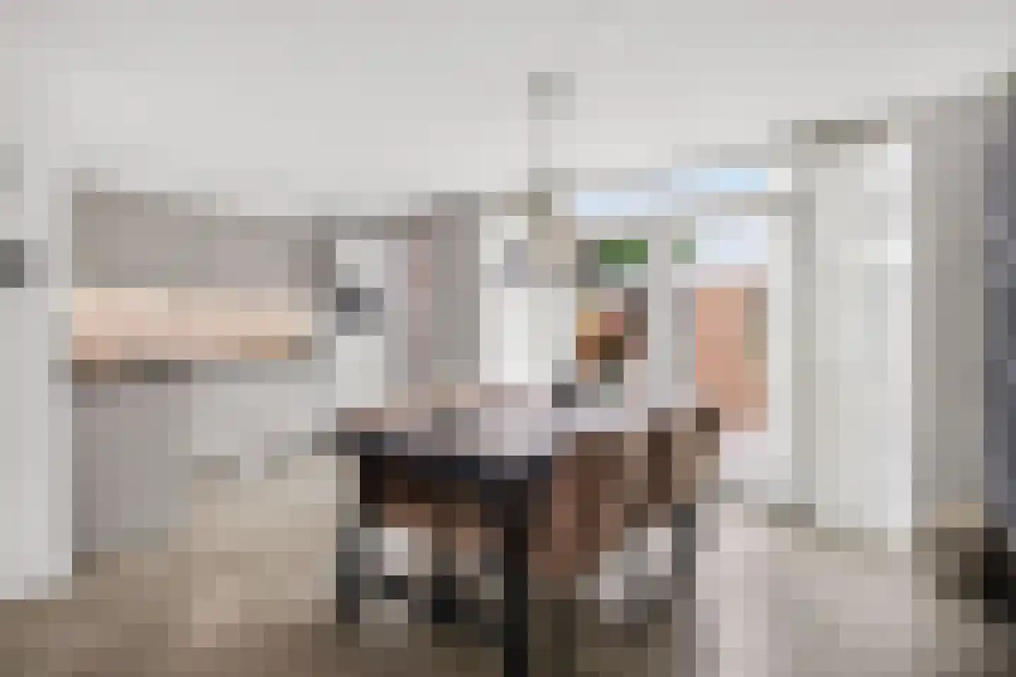 Schaapsweg 99 Ede thumbnail 10