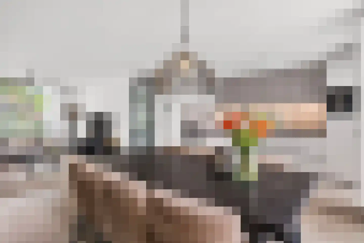 Schaapsweg 99 Ede thumbnail 11