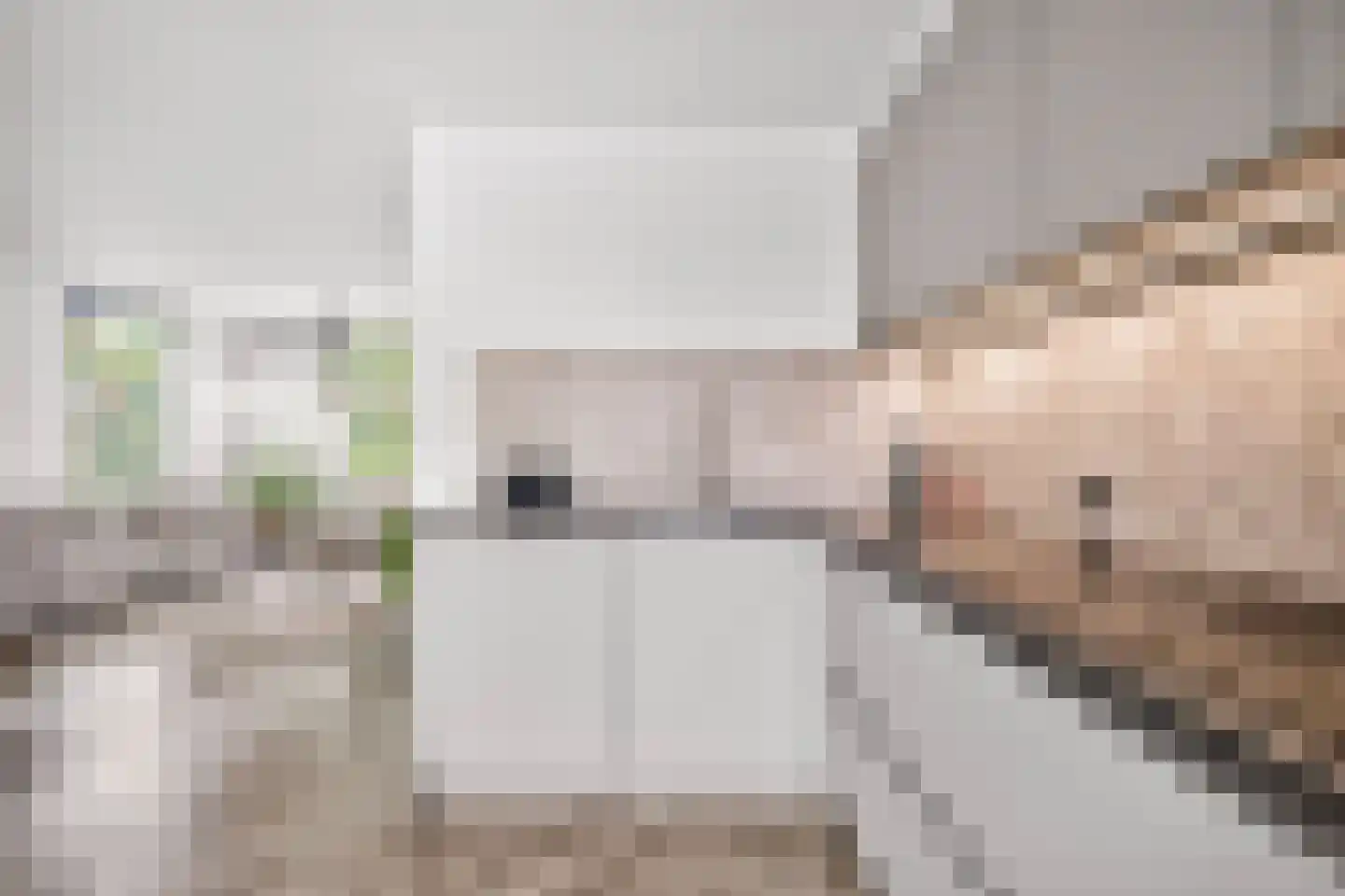 Schaapsweg 99 Ede thumbnail 17