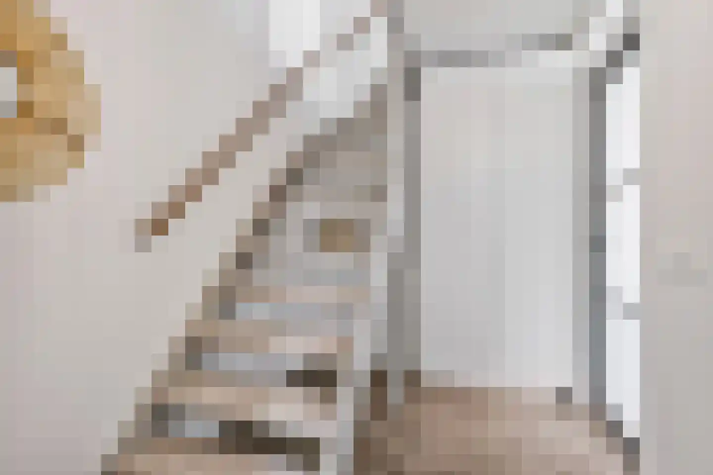 Schaapsweg 99 Ede thumbnail 20