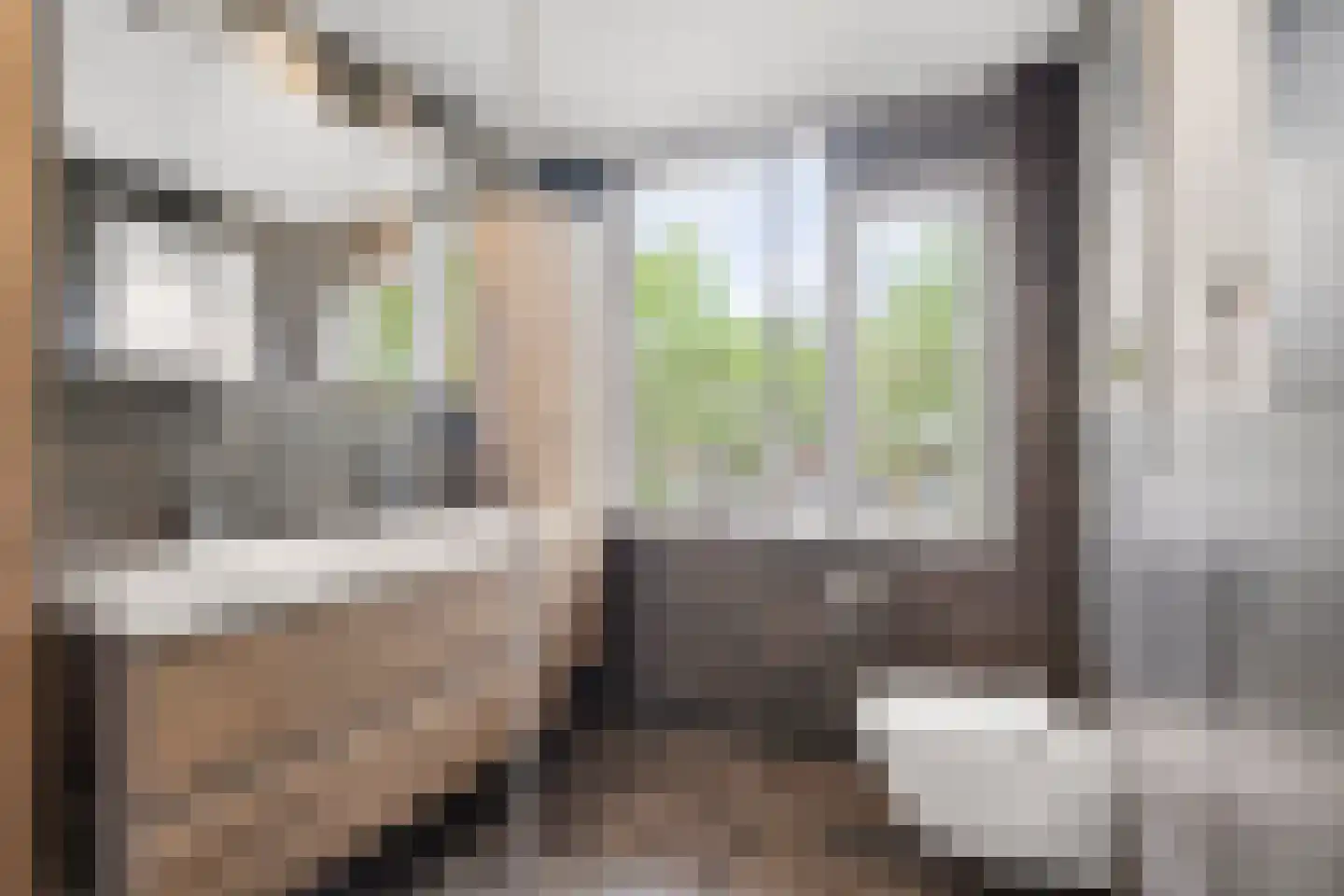 Schaapsweg 99 Ede thumbnail 33