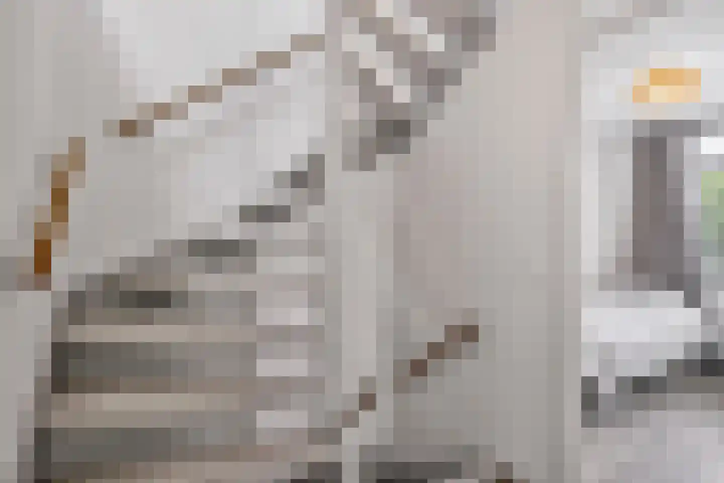 Schaapsweg 99 Ede thumbnail 35