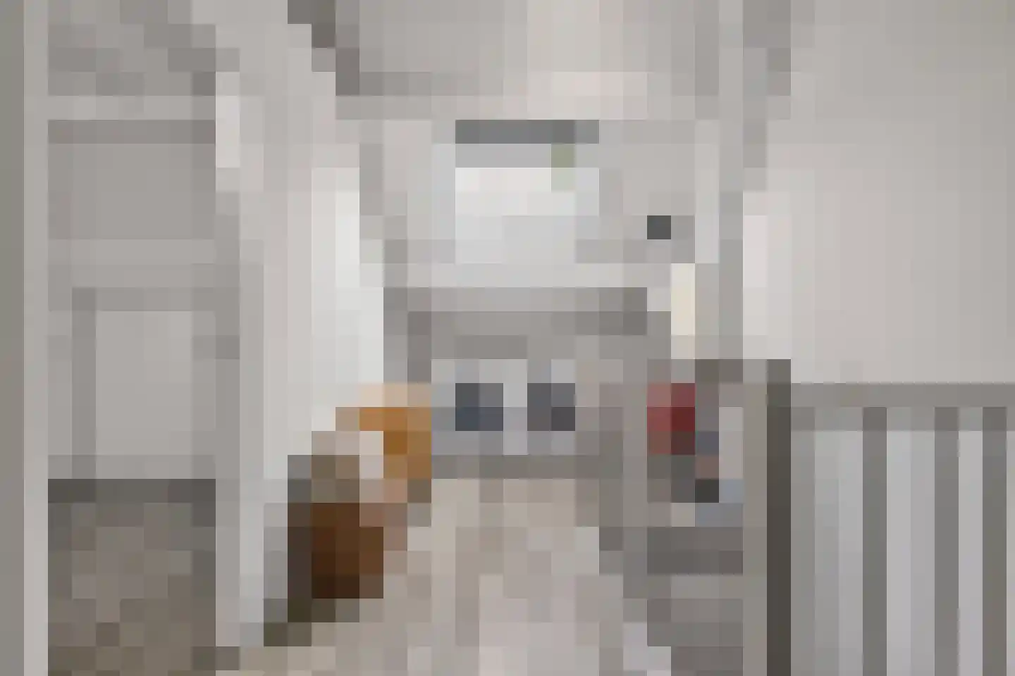Schaapsweg 99 Ede thumbnail 36