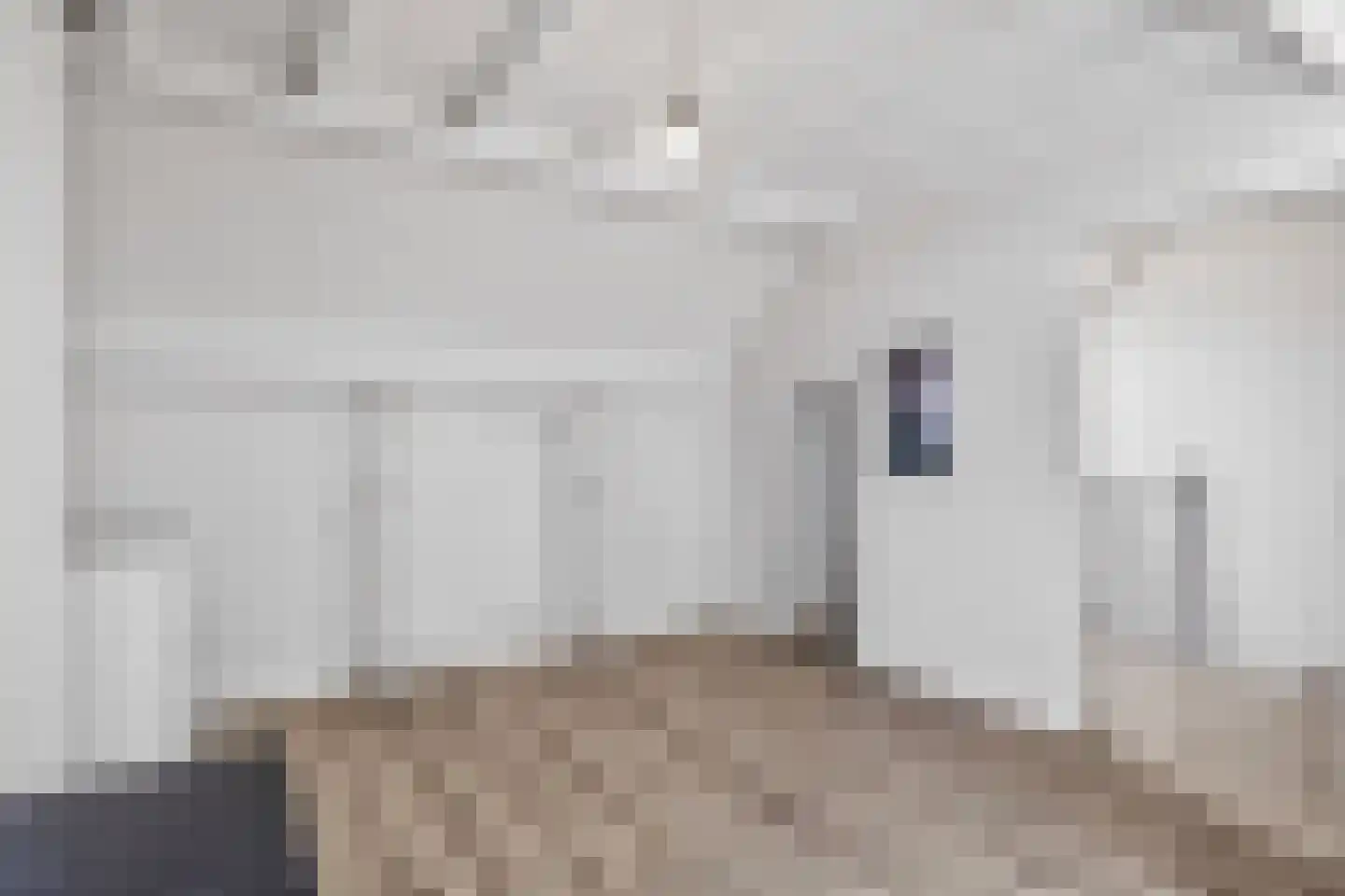 Schaapsweg 99 Ede thumbnail 39