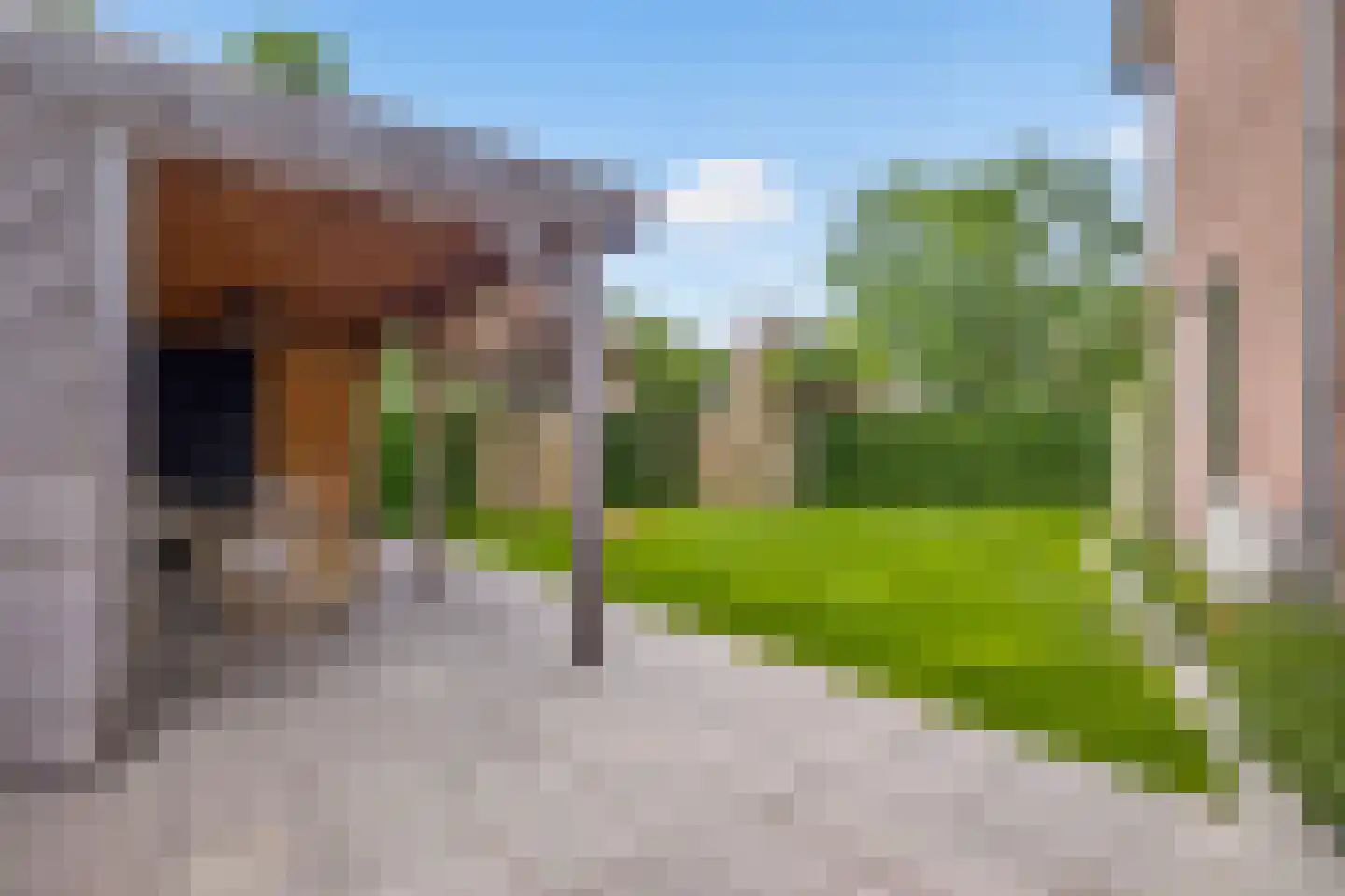 Schaapsweg 99 Ede thumbnail 46