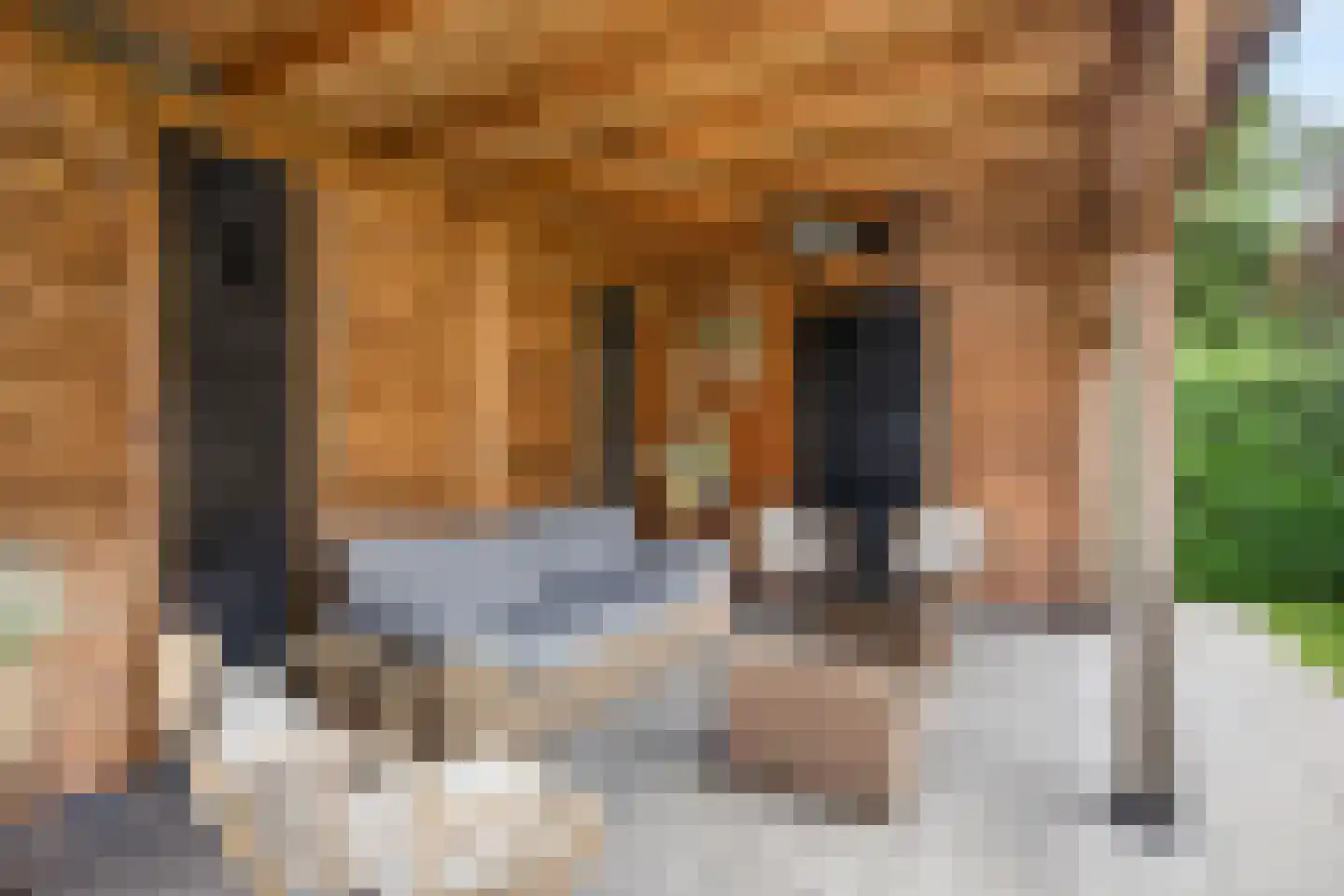 Schaapsweg 99 Ede thumbnail 47