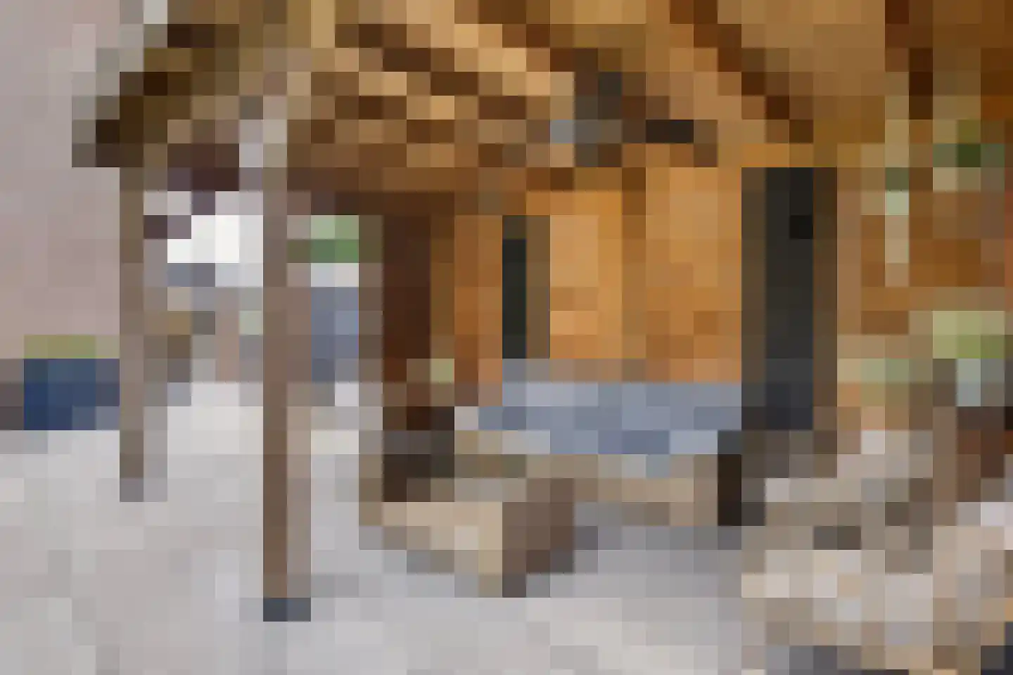 Schaapsweg 99 Ede thumbnail 48
