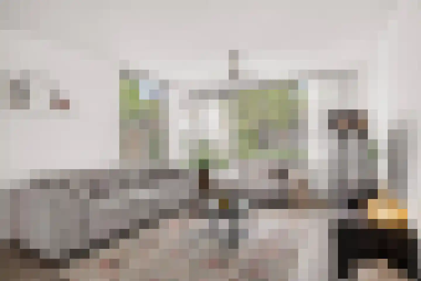 Schaapsweg 99 Ede thumbnail 5
