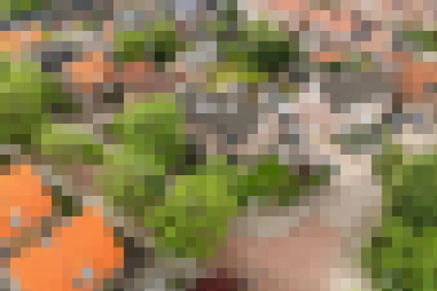 Schaapsweg 99 Ede thumbnail 53