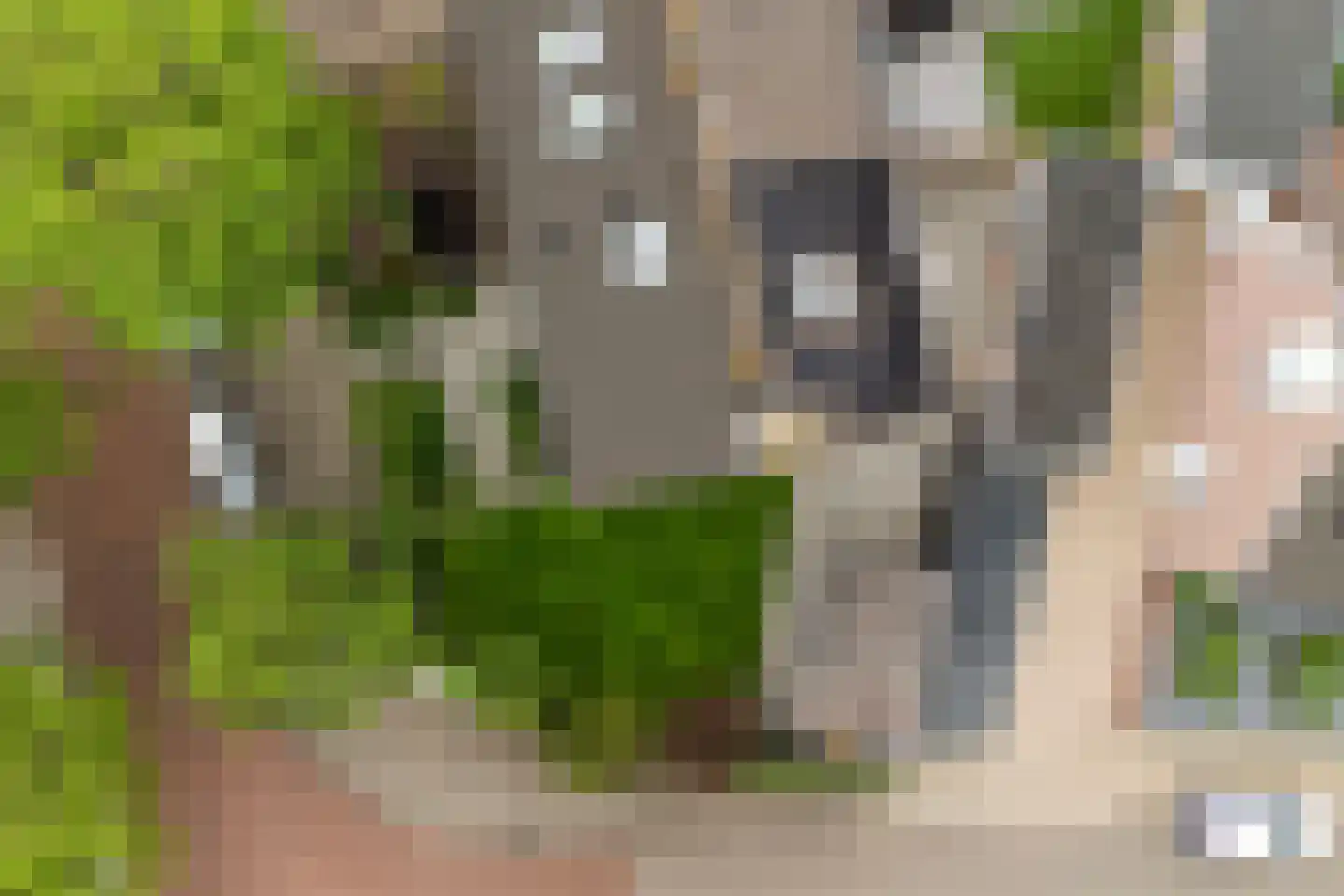 Schaapsweg 99 Ede thumbnail 55