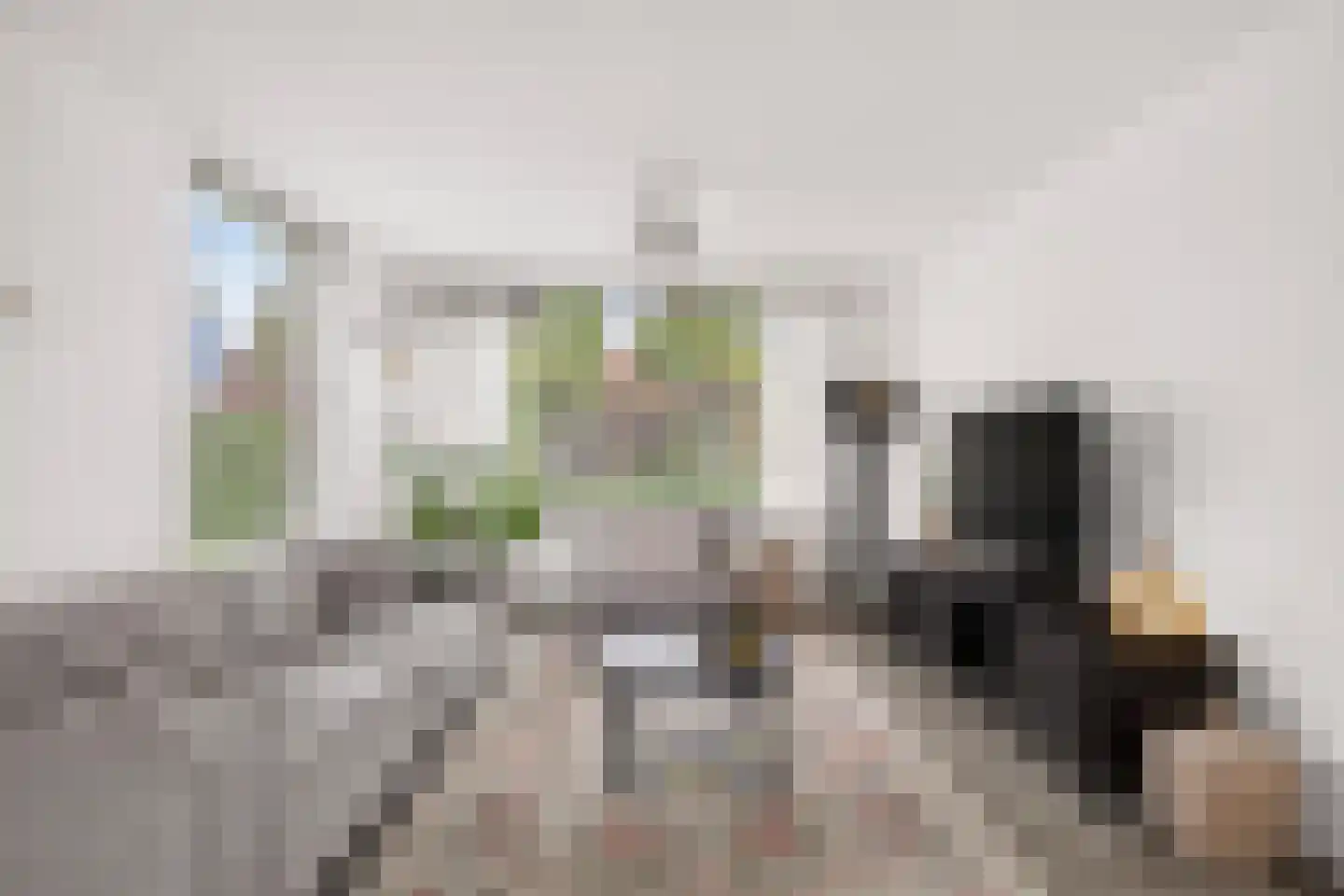 Schaapsweg 99 Ede thumbnail 6