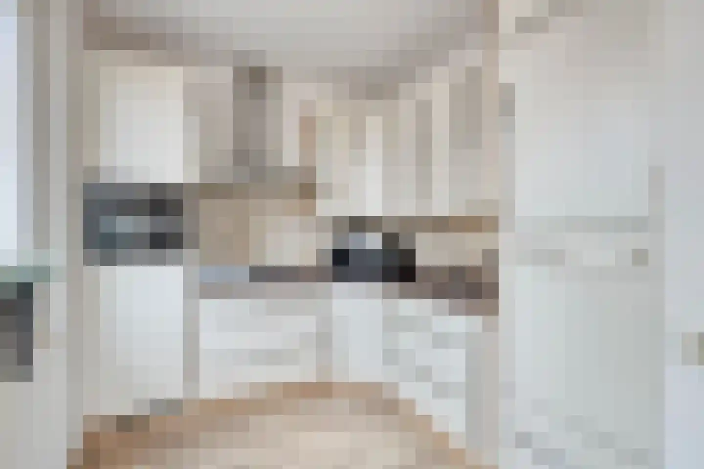 Schaapsweide 2 Heel thumbnail 12