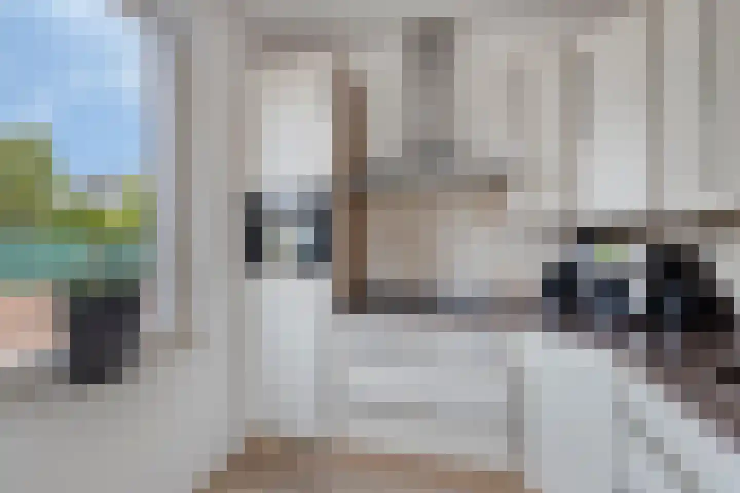 Schaapsweide 2 Heel thumbnail 14