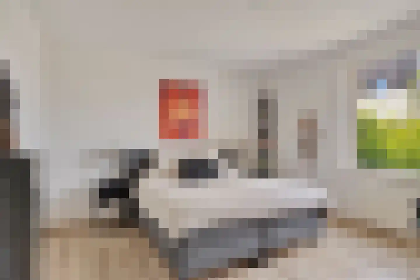 Schaapsweide 2 Heel thumbnail 16