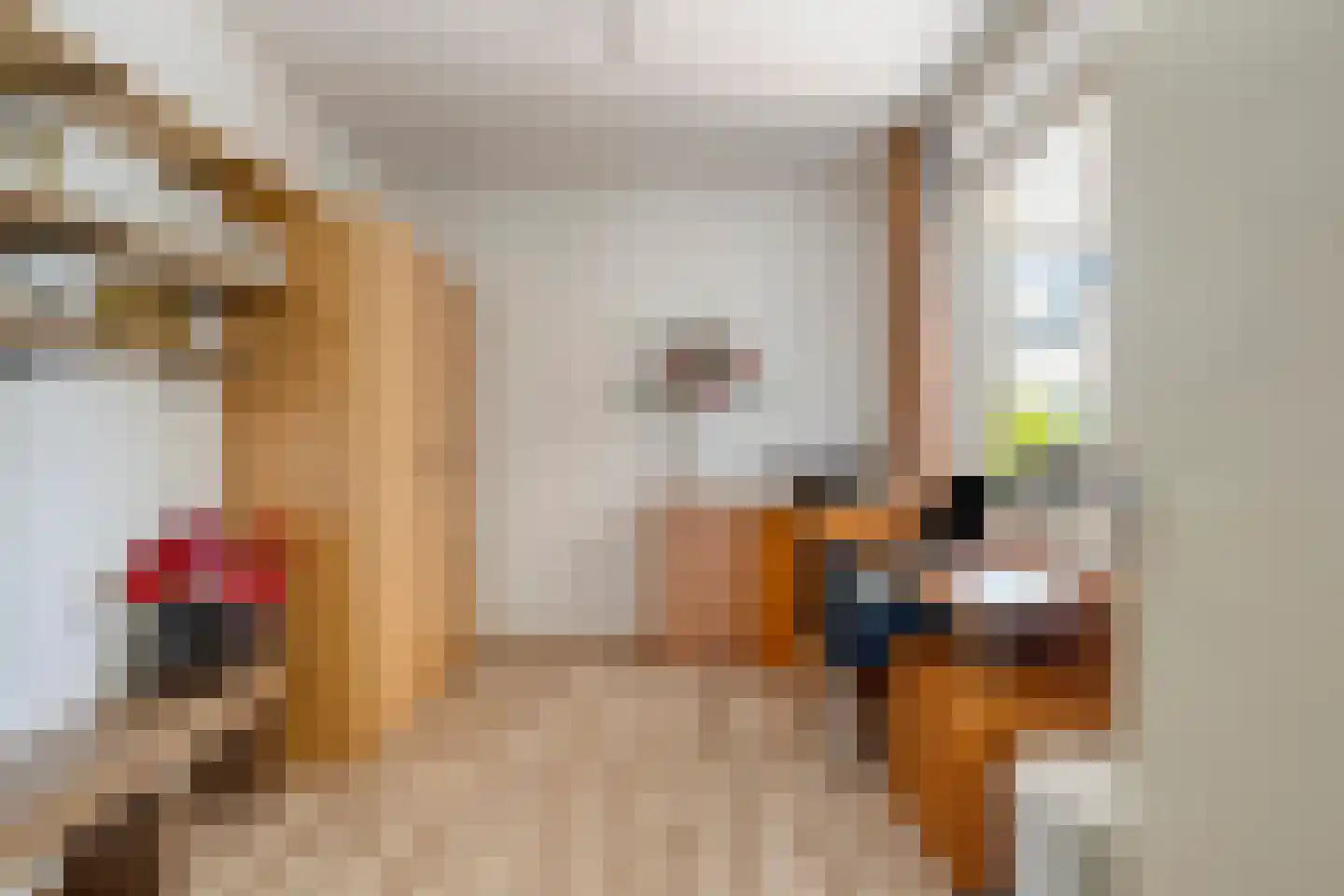 Schaapsweide 2 Heel thumbnail 19