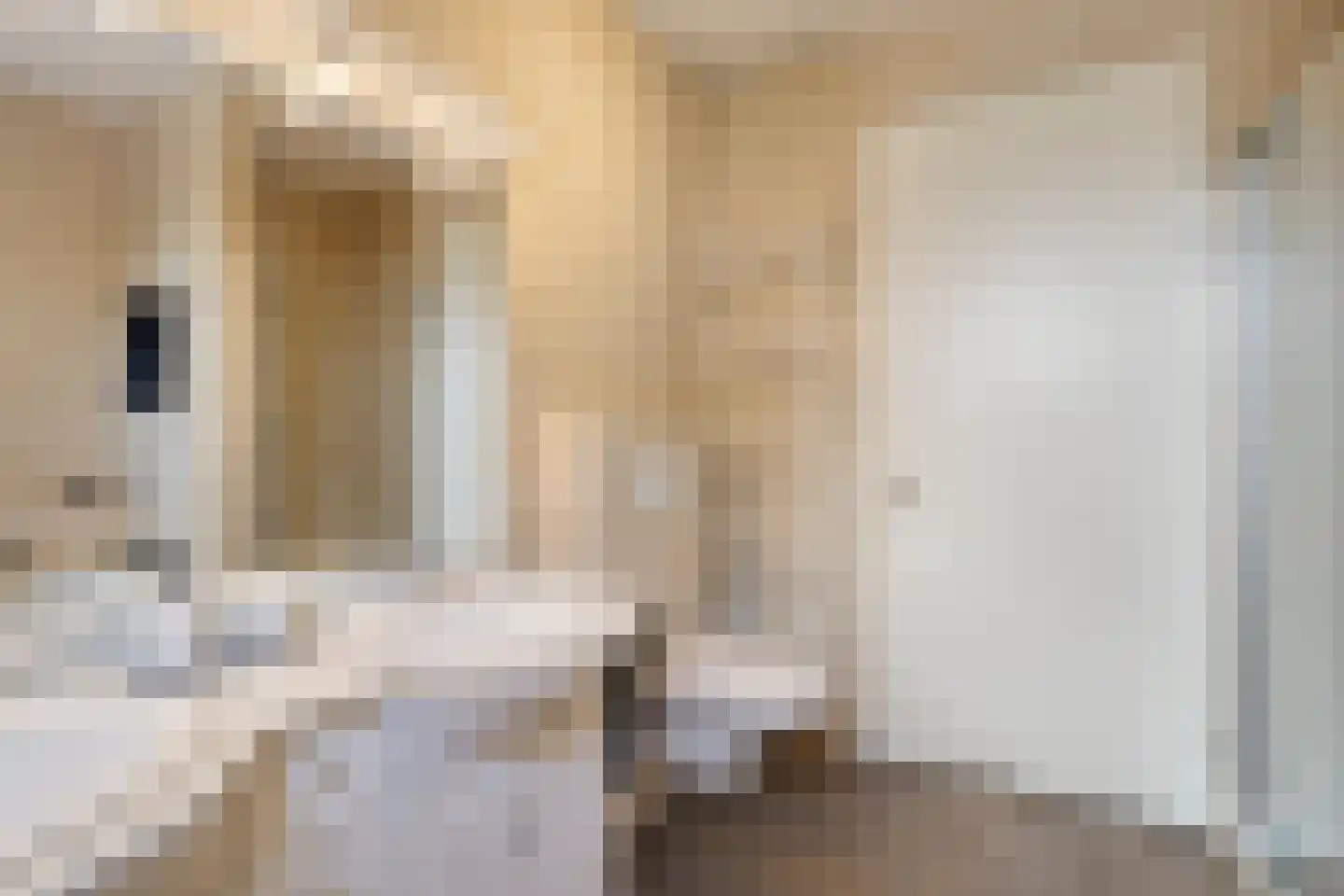 Schaapsweide 2 Heel thumbnail 21