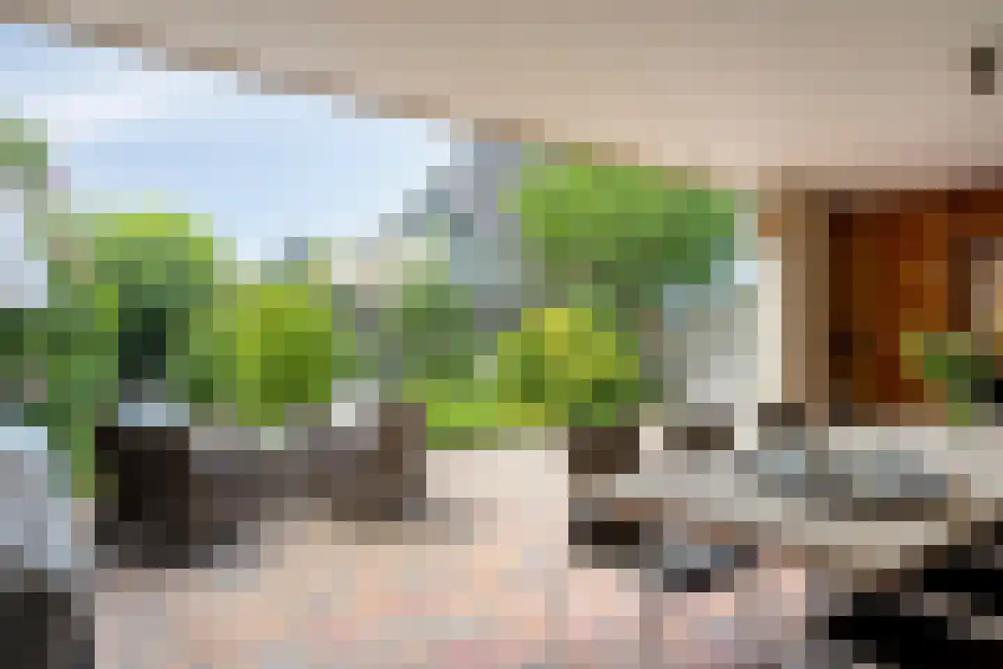 Schaapsweide 2 Heel thumbnail 32