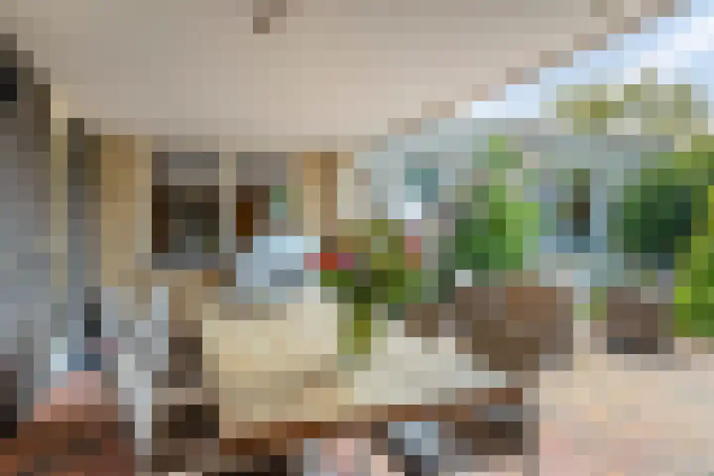 Schaapsweide 2 Heel thumbnail 33