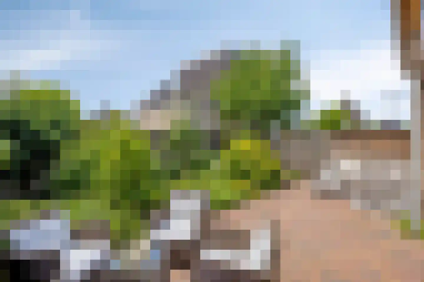 Schaapsweide 2 Heel thumbnail 35