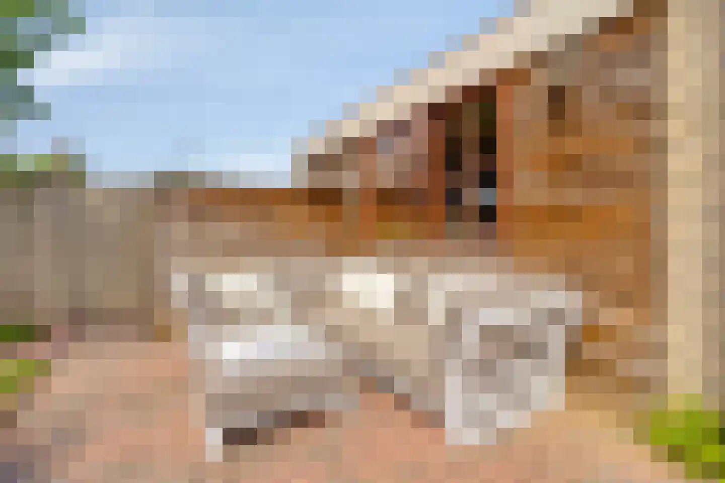 Schaapsweide 2 Heel thumbnail 37