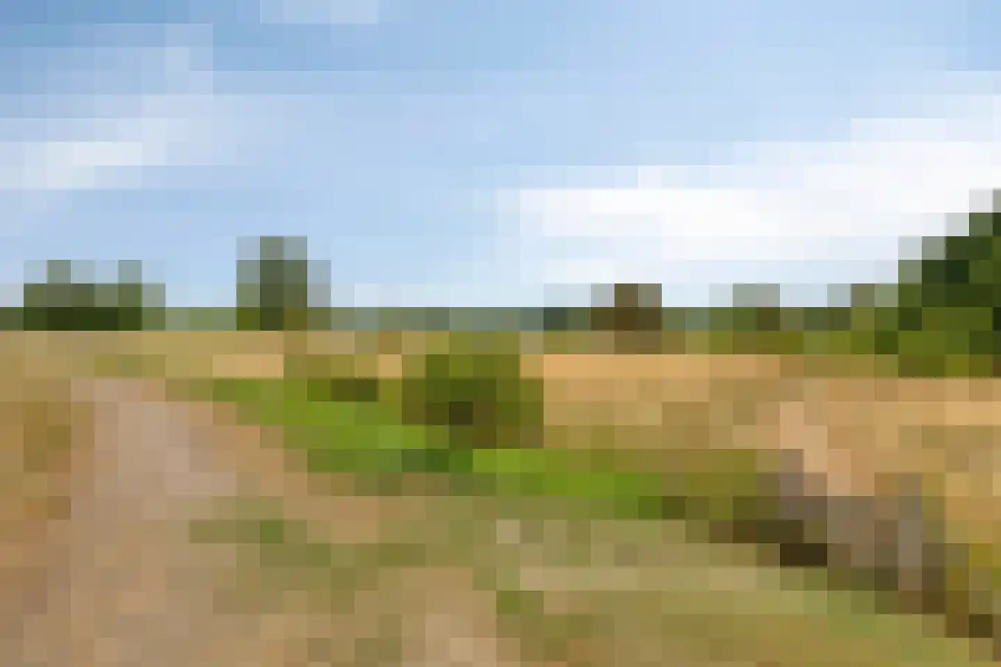 Schaapsweide 2 Heel thumbnail 40