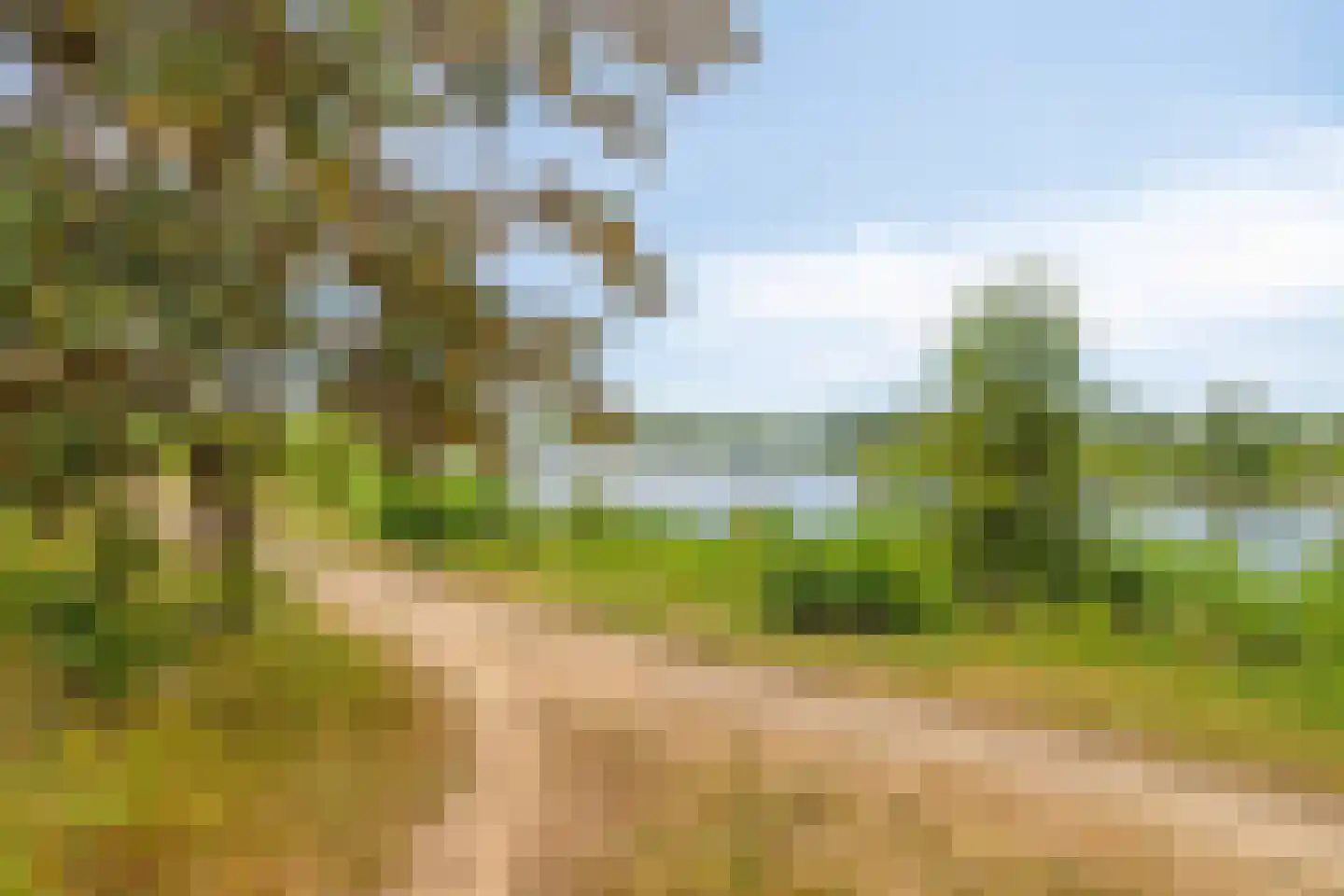 Schaapsweide 2 Heel thumbnail 41