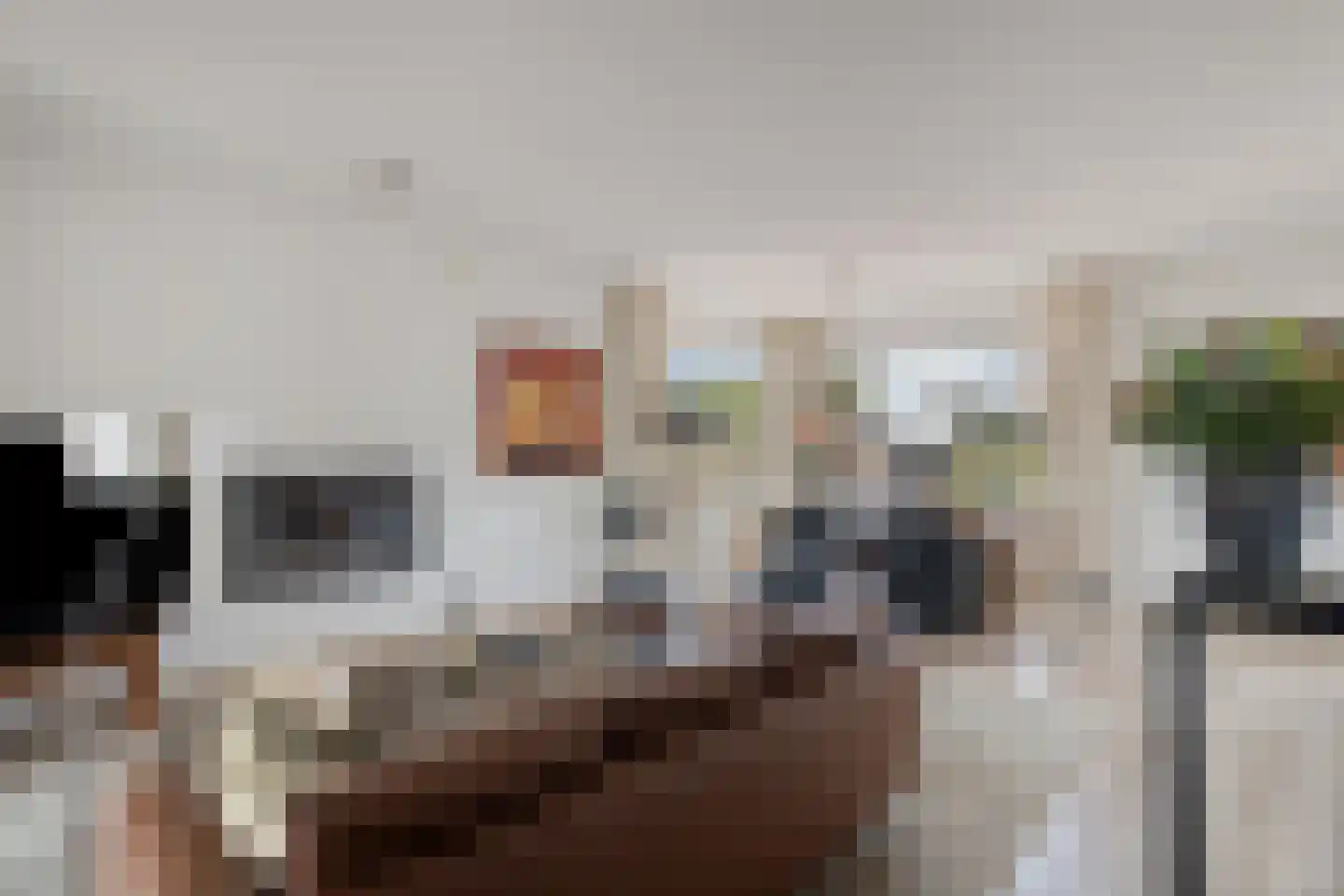 Schaapsweide 2 Heel thumbnail 9