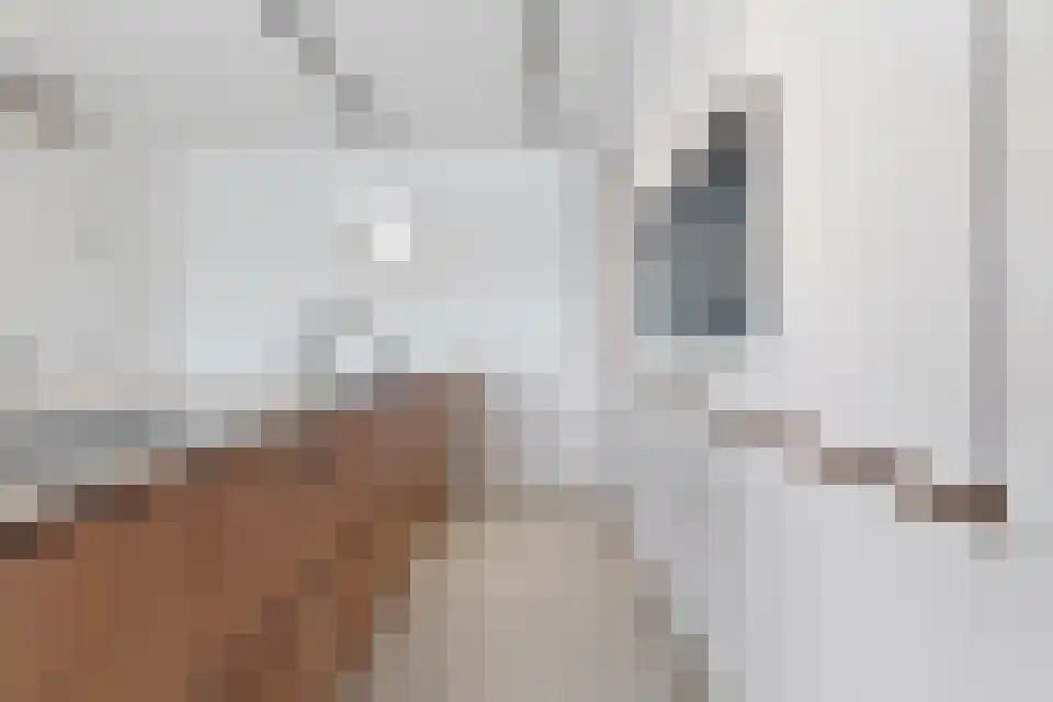 Schaapsweide 3700 Tongeren Heel thumbnail 11