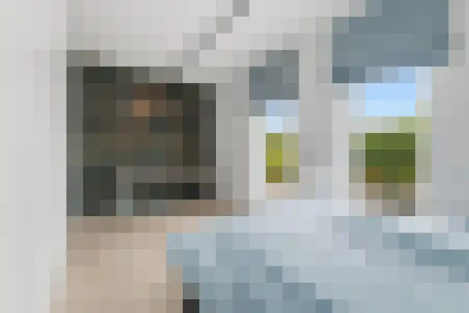 Schaapsweide 3700 Tongeren Heel thumbnail 15