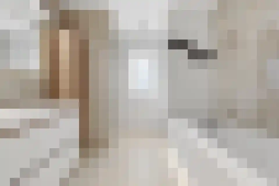 Schaapsweide 3700 Tongeren Heel thumbnail 18