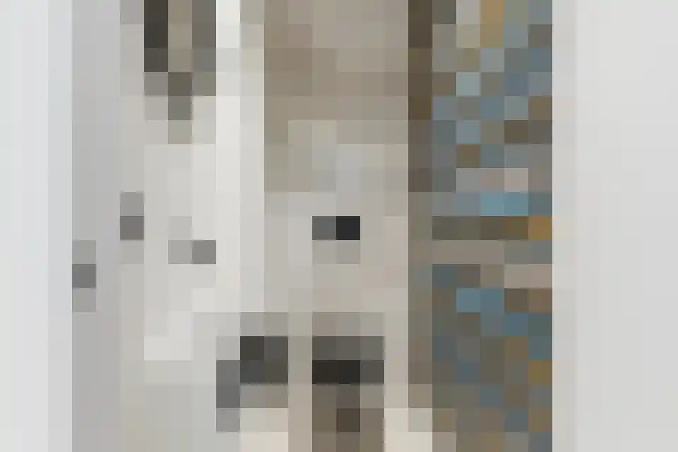 Schaapsweide 3700 Tongeren Heel thumbnail 23