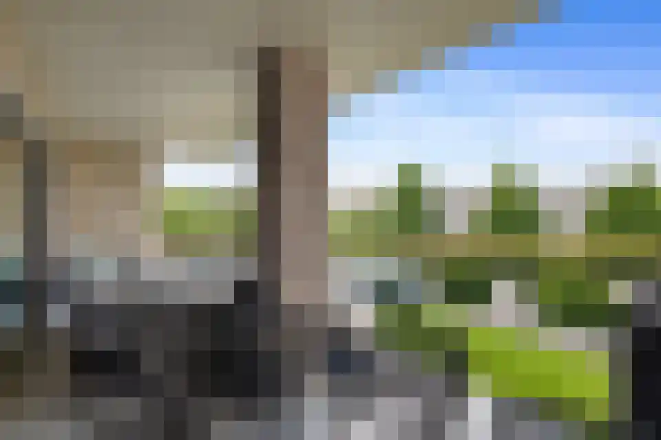 Schaapsweide 3700 Tongeren Heel thumbnail 26