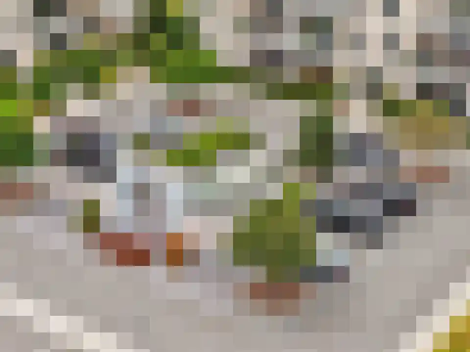 Schaapsweide 3700 Tongeren Heel thumbnail 30