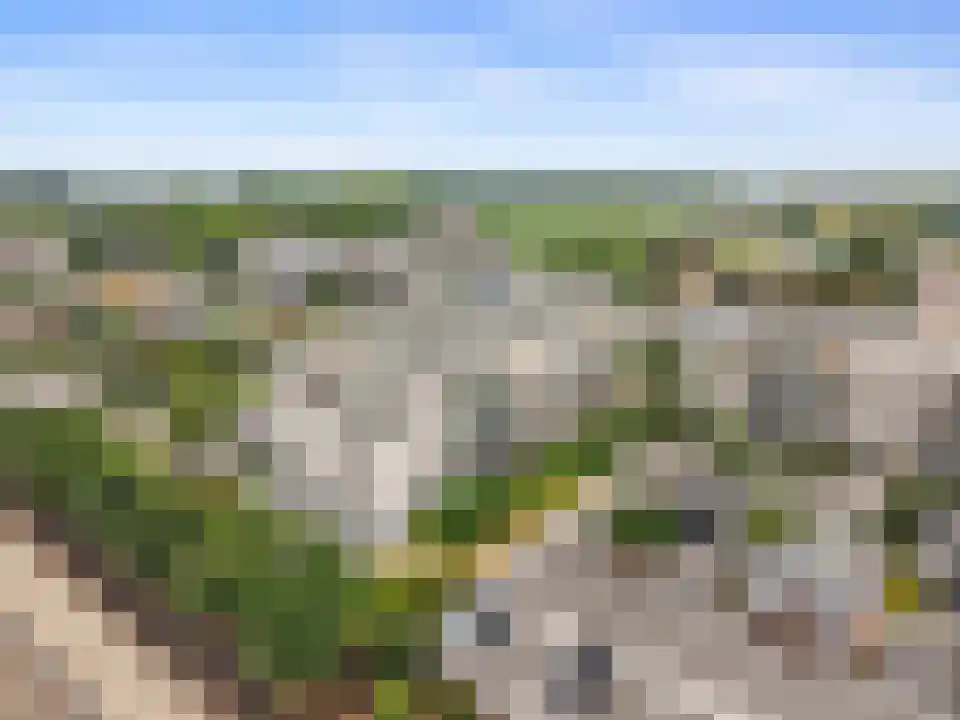 Schaapsweide 3700 Tongeren Heel thumbnail 34