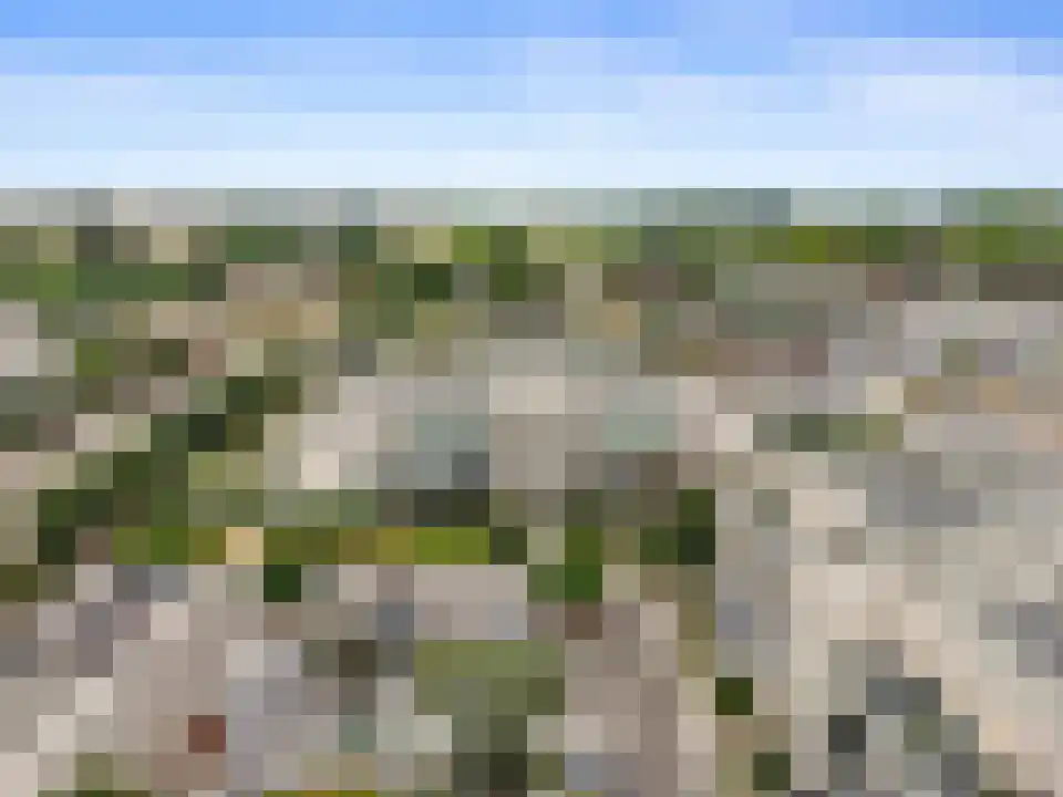 Schaapsweide 3700 Tongeren Heel thumbnail 35