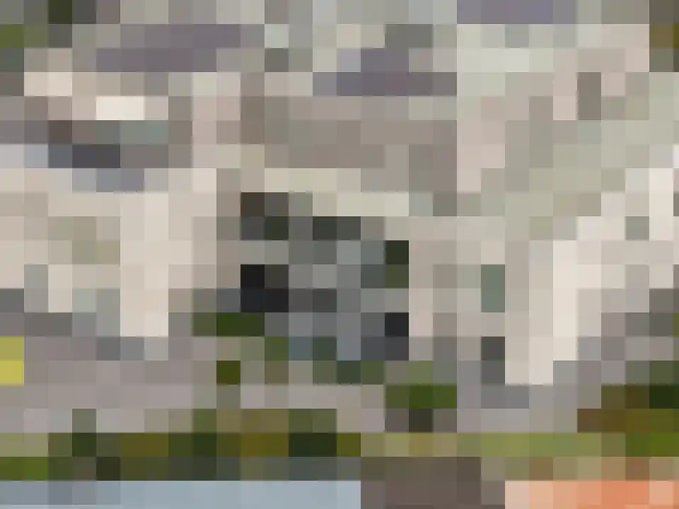 Schaapsweide 3700 Tongeren Heel thumbnail 37