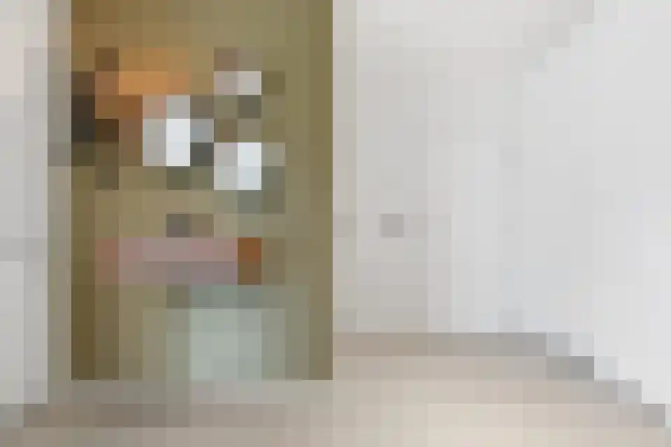 Schaapsweide 3700 Tongeren Heel thumbnail 6