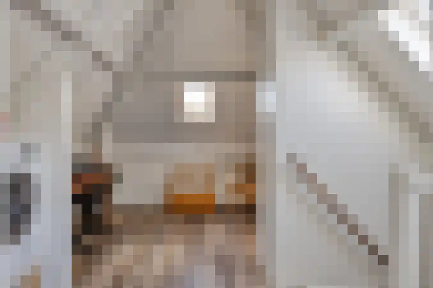 Schaapvelden 14 Best thumbnail 38