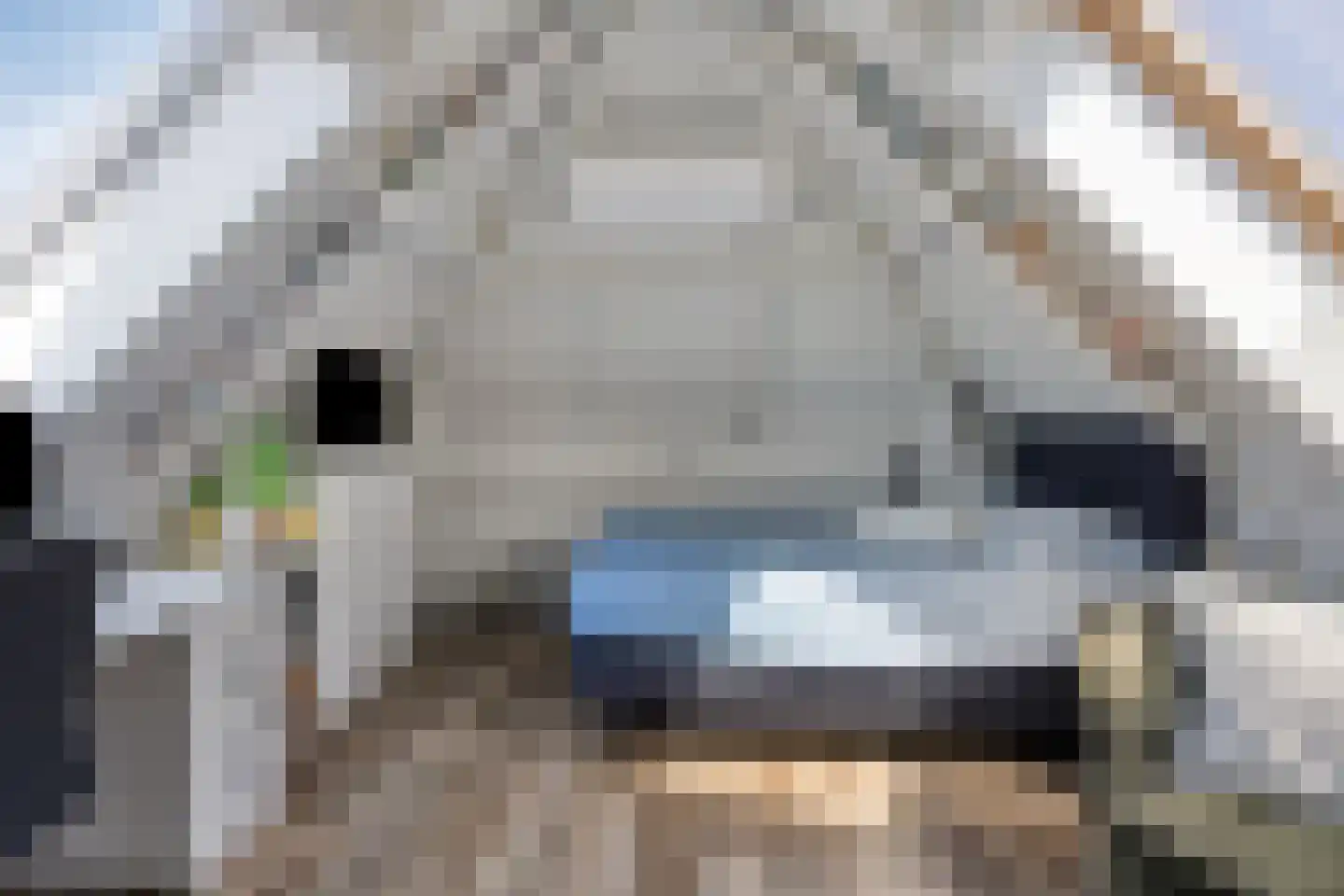 Schaapvelden 14 Best thumbnail 41