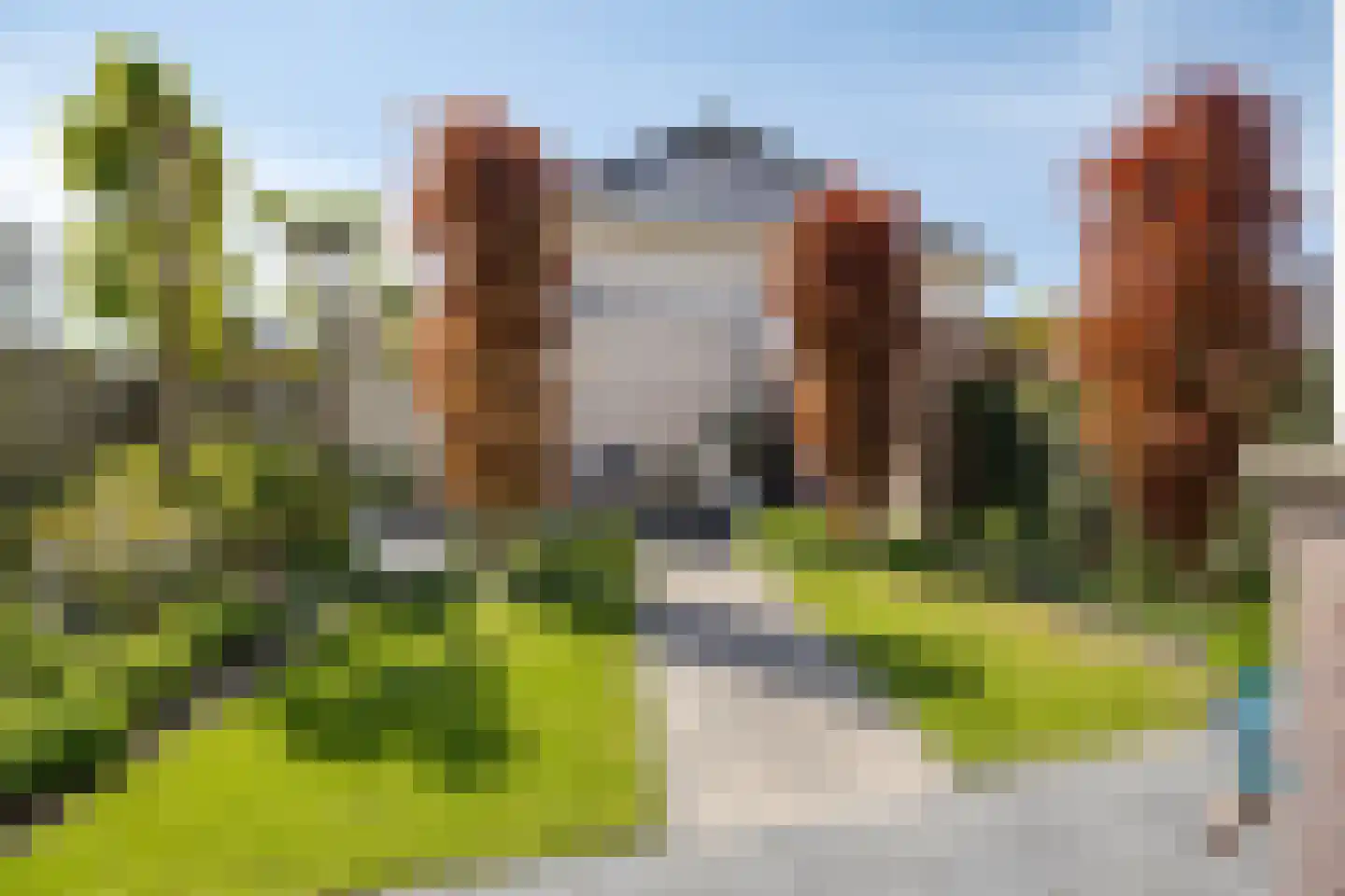Schaapvelden 14 Best thumbnail 6
