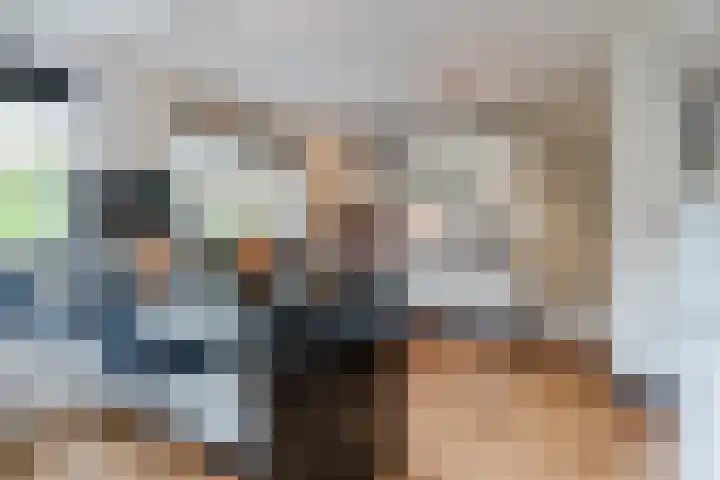 Schaapvelden 6 Best thumbnail 13