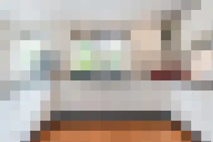 Schaapvelden 6 Best thumbnail 14